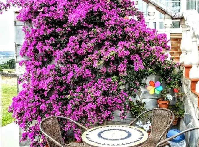 La Pradera De Apartment *